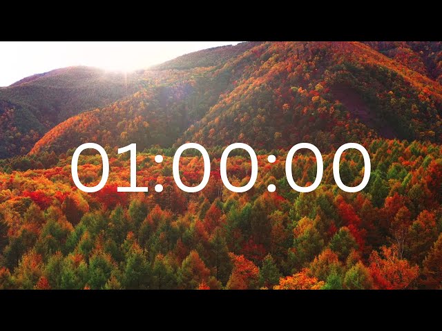 1 Hour Timer with Music