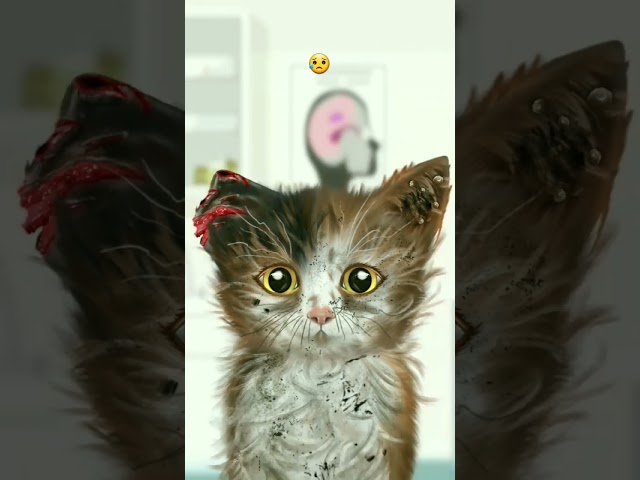 cat treatment 😮💥 #shorts #games #treatment #asmr #viral