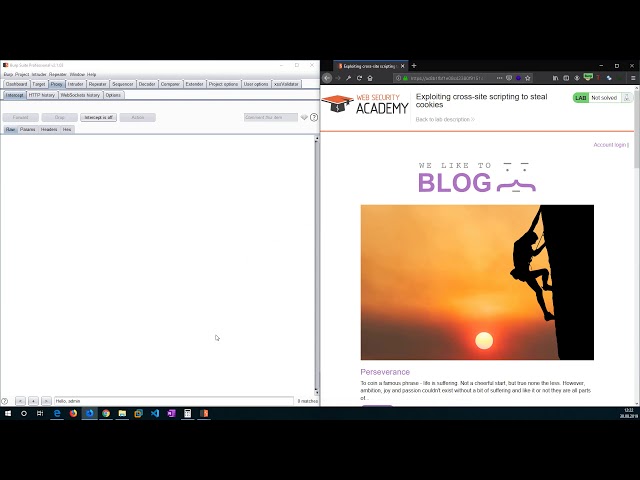 Exploiting cross site scripting to steal cookies (Video solution)