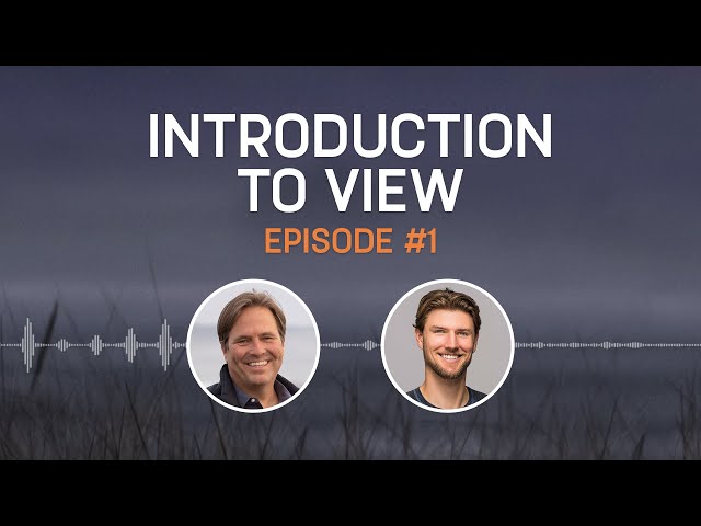 Introduction to VIEW