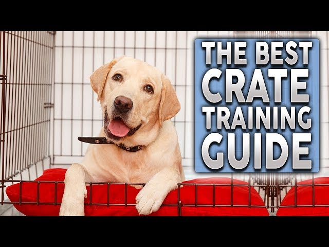 The ULTIMATE Crate Training Guide For Your New Dog or Puppy!