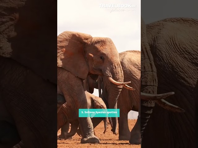#travelinspiration! 9 Gründe für NAMIBIA #travel  #travelshorts #shorts