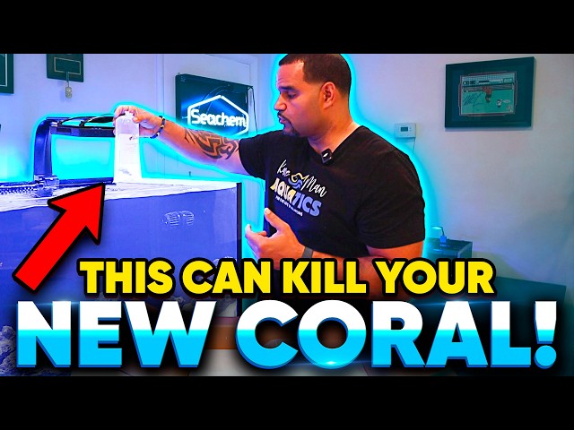 New Coral Arrived - Here's Why This Step Saves Everything