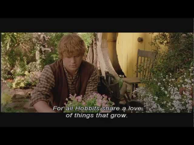 Concerning Hobbits