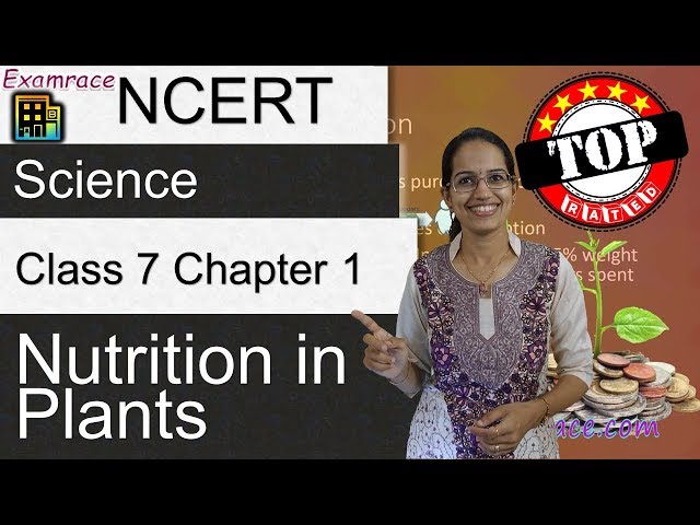 NCERT Class 7 Science Chapter 1: Nutrition in Plants (NSO/NSTSE/Olympiad) | English | CBSE