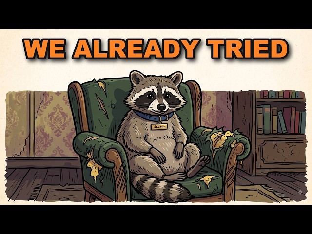 Can Raccoons Be Domesticated? (We Already Tried)