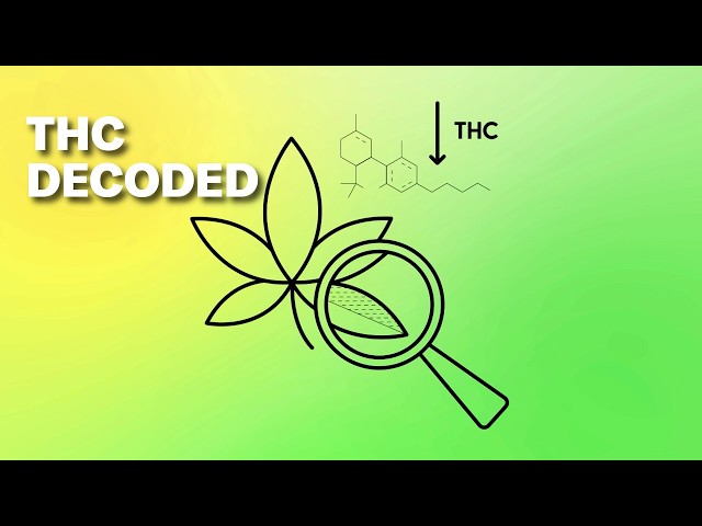 The Science of Marijuana and THC is Fascinating and More Important Than Ever