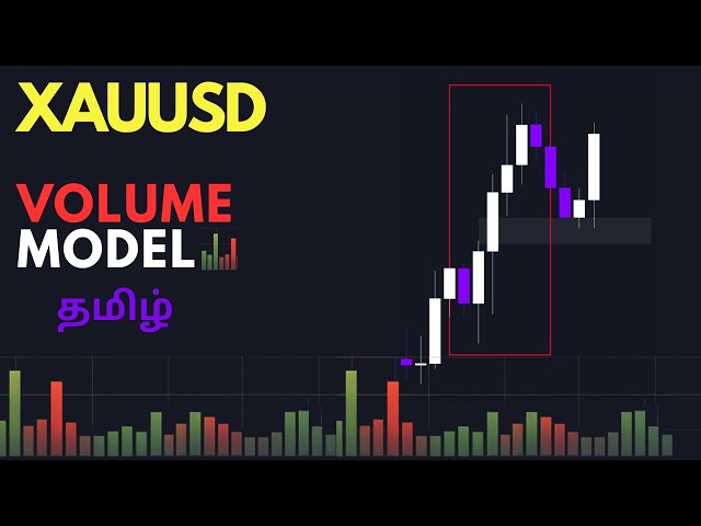 XAUUSD Volume Strategy (Tamil) | How I Trade Using Volume