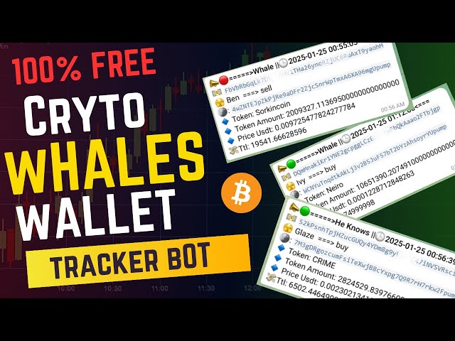 How I Used ChatGPT to Build a Crypto Wallet Tracker in Just Few Minutes! ⏱️💻