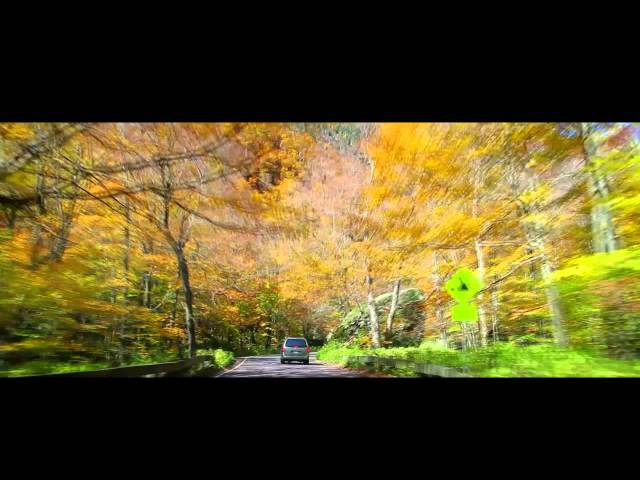 New England Foliage-October 3, 2013