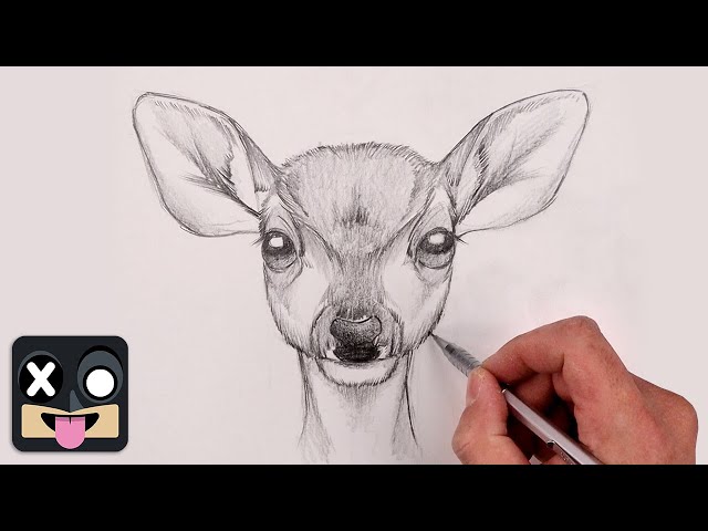 How To Draw Baby Deer Fawn | Sketch Tutorial