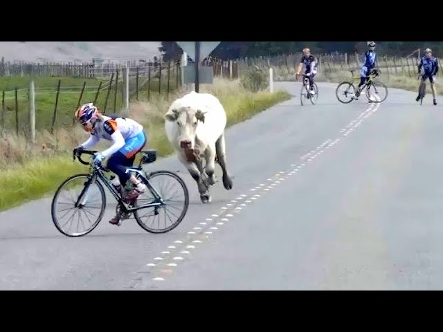 😂 Best Funny & Pranks & Fail Videos Around World [Try Not To Laugh] #28 🤣
