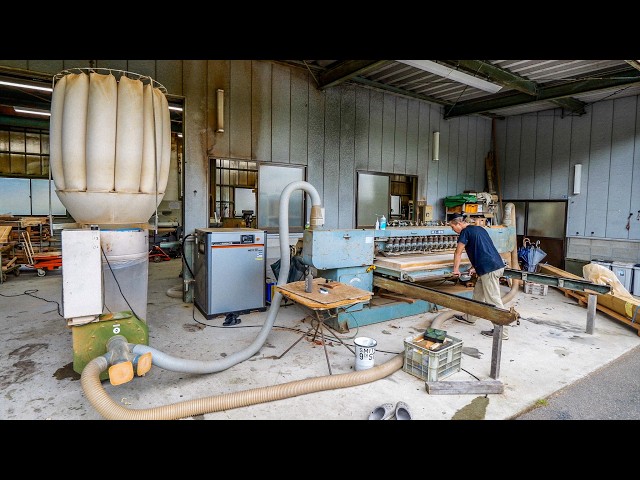 How a 220-Year-Old Camphor Tree Becomes a Massive Single-Slab Dining Table