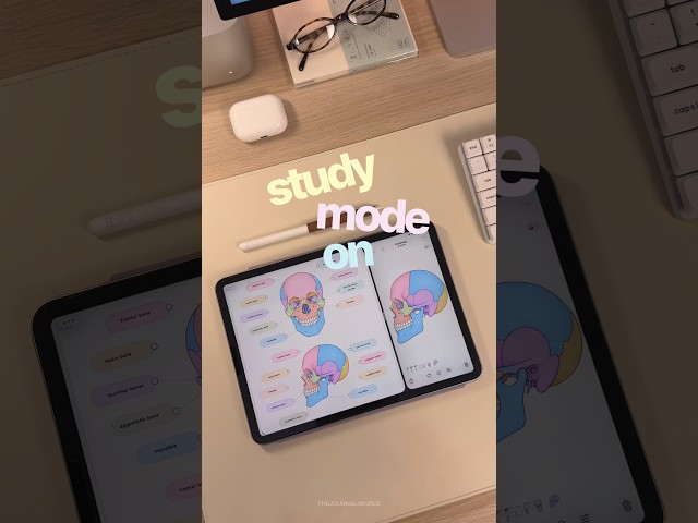 take digital notes with me 🫀📓  goodnotes study, digital note taking