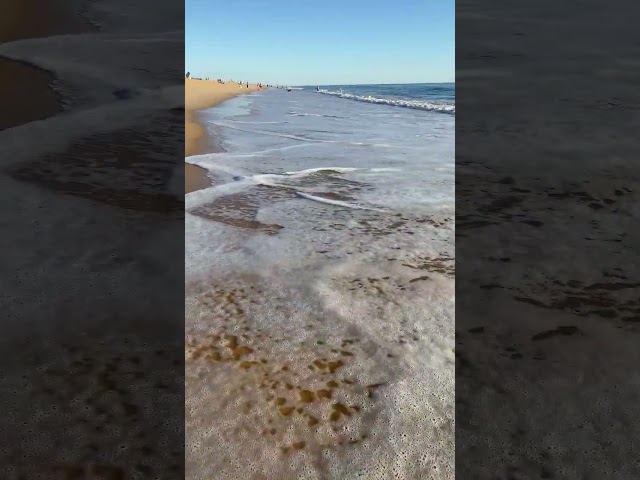 Relax beach walking 4K | Algarve, Portugal | Faro beach