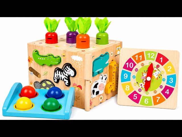 Magic Animal Puzzle Box 🐾🧩 Find, Match & Build