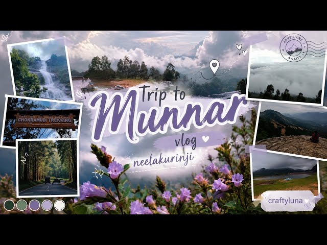 Trip vlog 🌟🌷|trekking |neelakurinji |munnar |Idukki |vlog |dayinmylife 