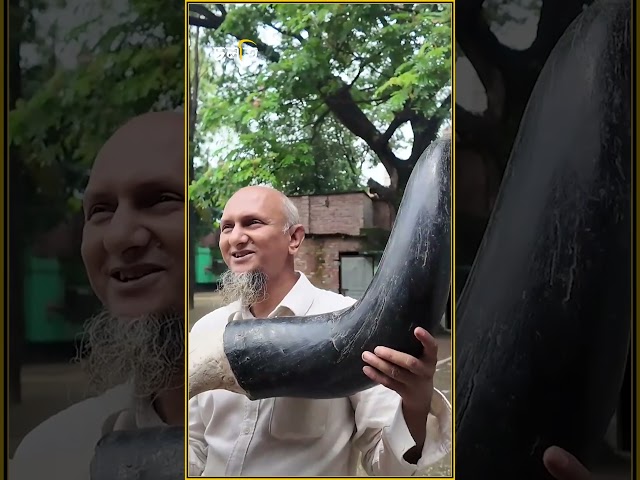 এত বড় শিং? কারা কেনে?