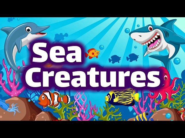 Sea Creatures for Kids | Fish, Sharks, & Ocean Animals